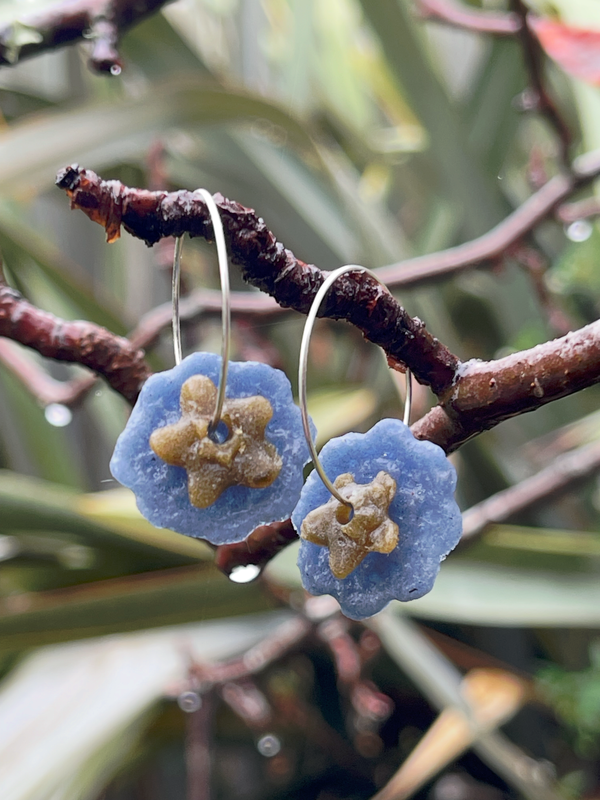 Denim Blue Lace and Hoya