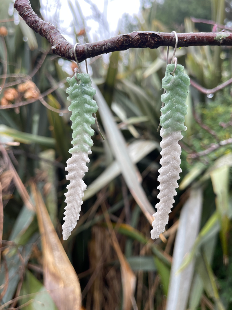 Fern pinna
