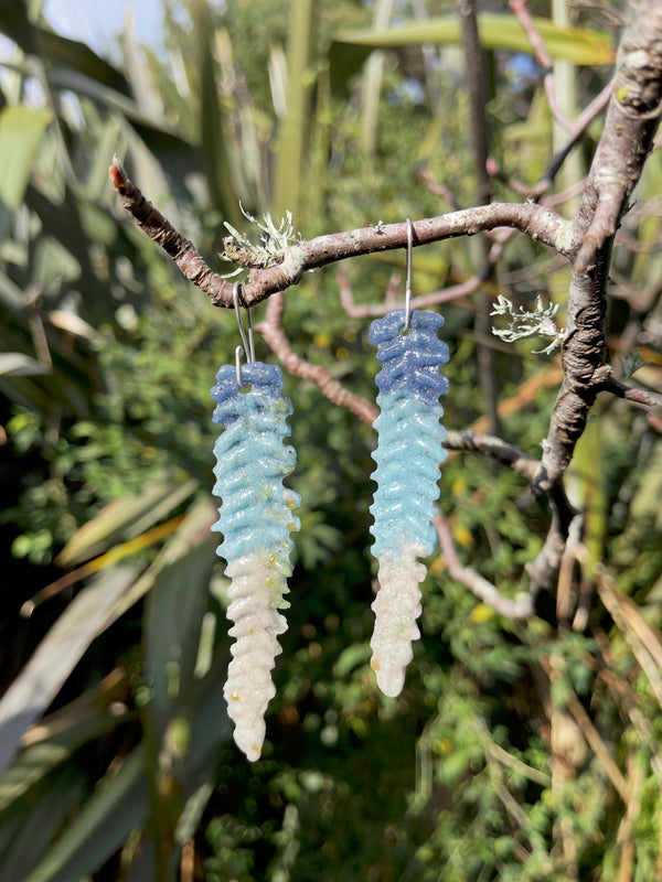 Fern pinna blue